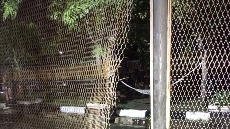 Who let the “Pigs” in?? (Insurgency in&nbsp;Kashmir)