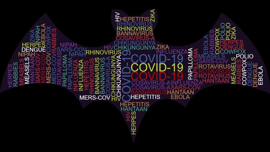 The unwarranted fear of&nbsp;Coronavirus!